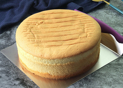 Cake Lifter, 8"