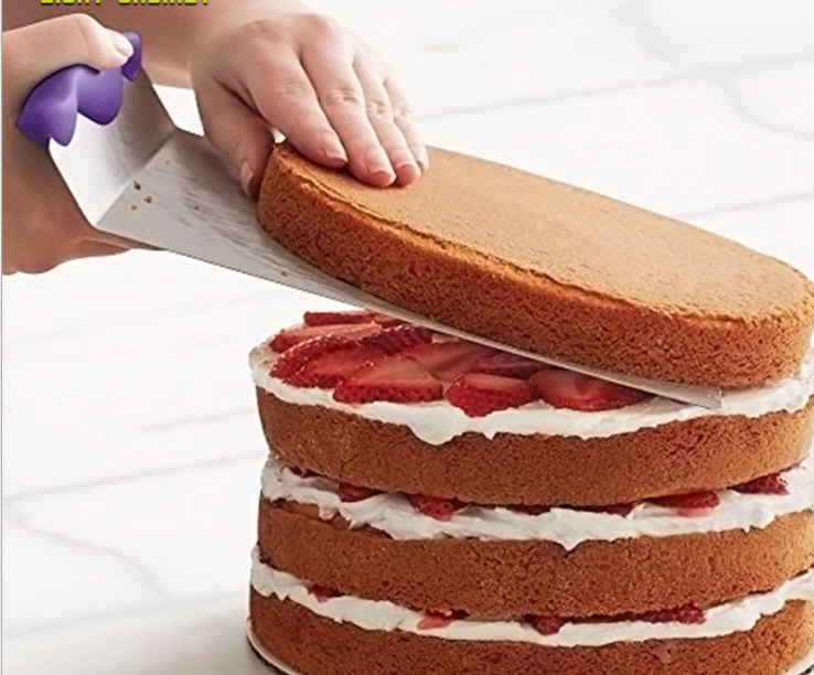 Cake Lifter, 8"